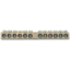 TNSy5501164