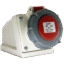 gee13114.1