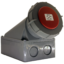 gee13134.1