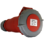 gee13215.1