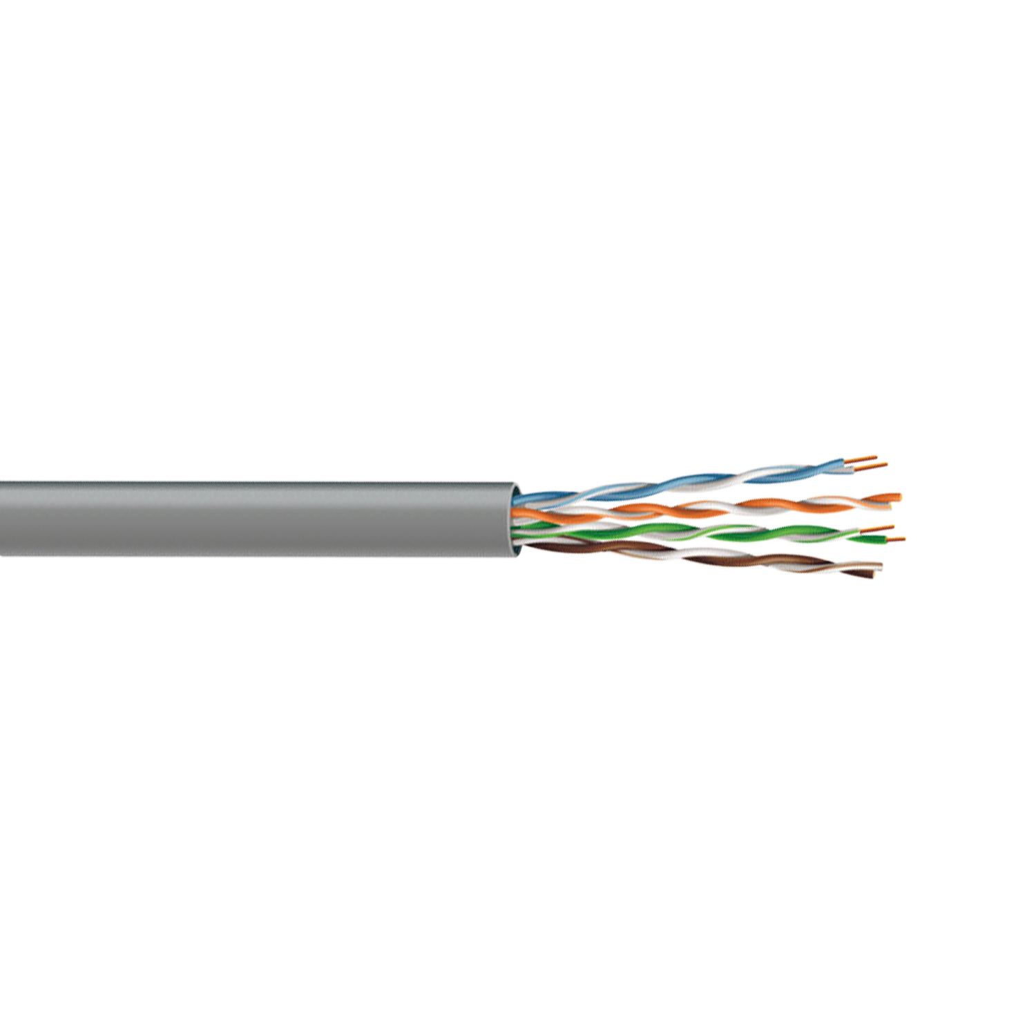 lan-1