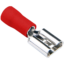 500525
