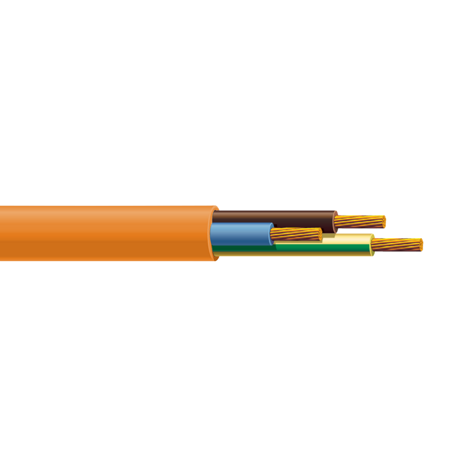 pvs_3_moeller_orange