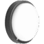 253353