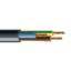 pvs_3_bl