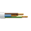 pvs_3_w
